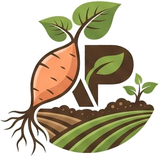 Logótipo Agropinheirol: batata-doce, a letra P com uma folha e um campo lavrado